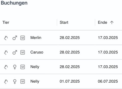 Buchungsübersicht Feature 2